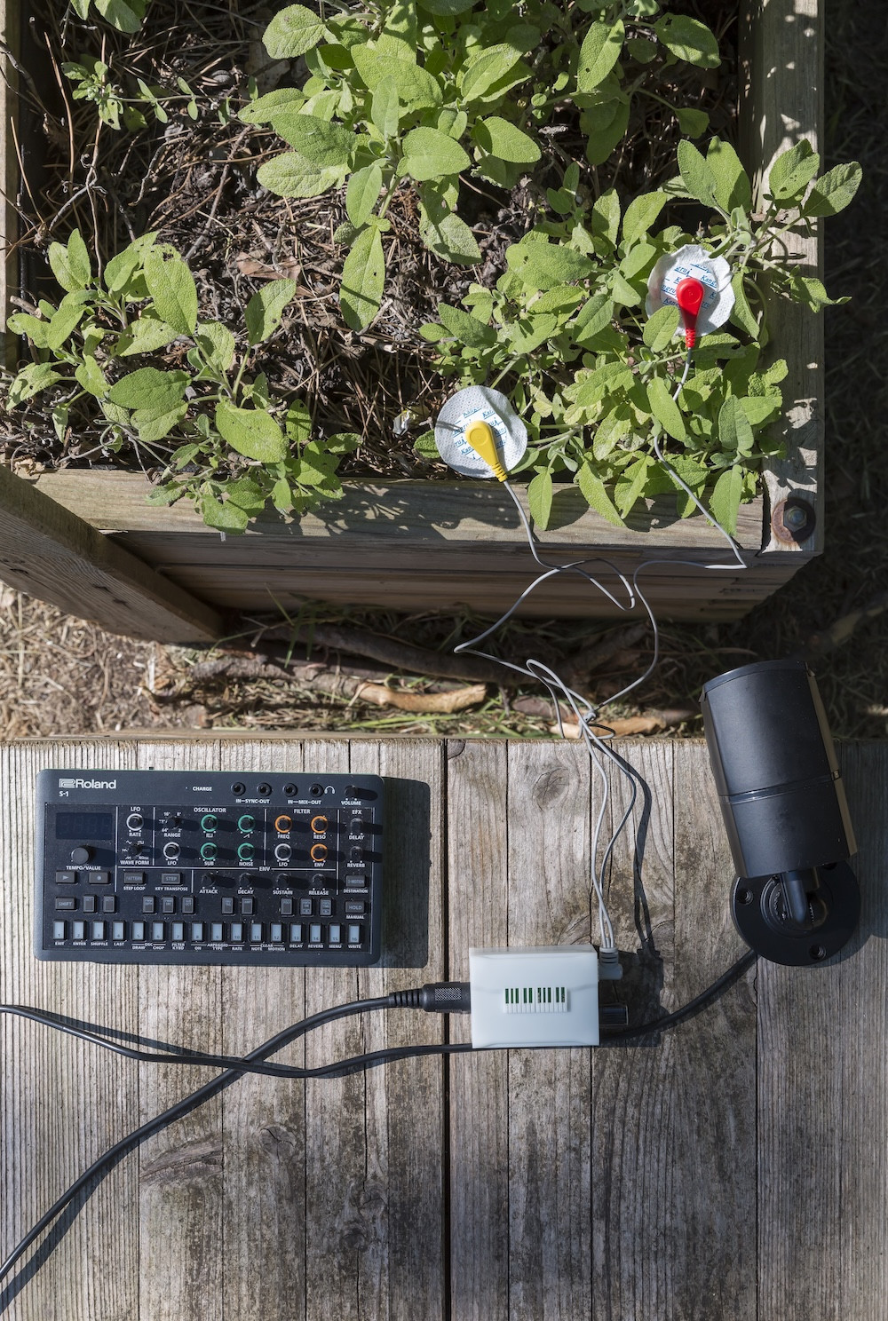 Global Urban Garden Network - image-1