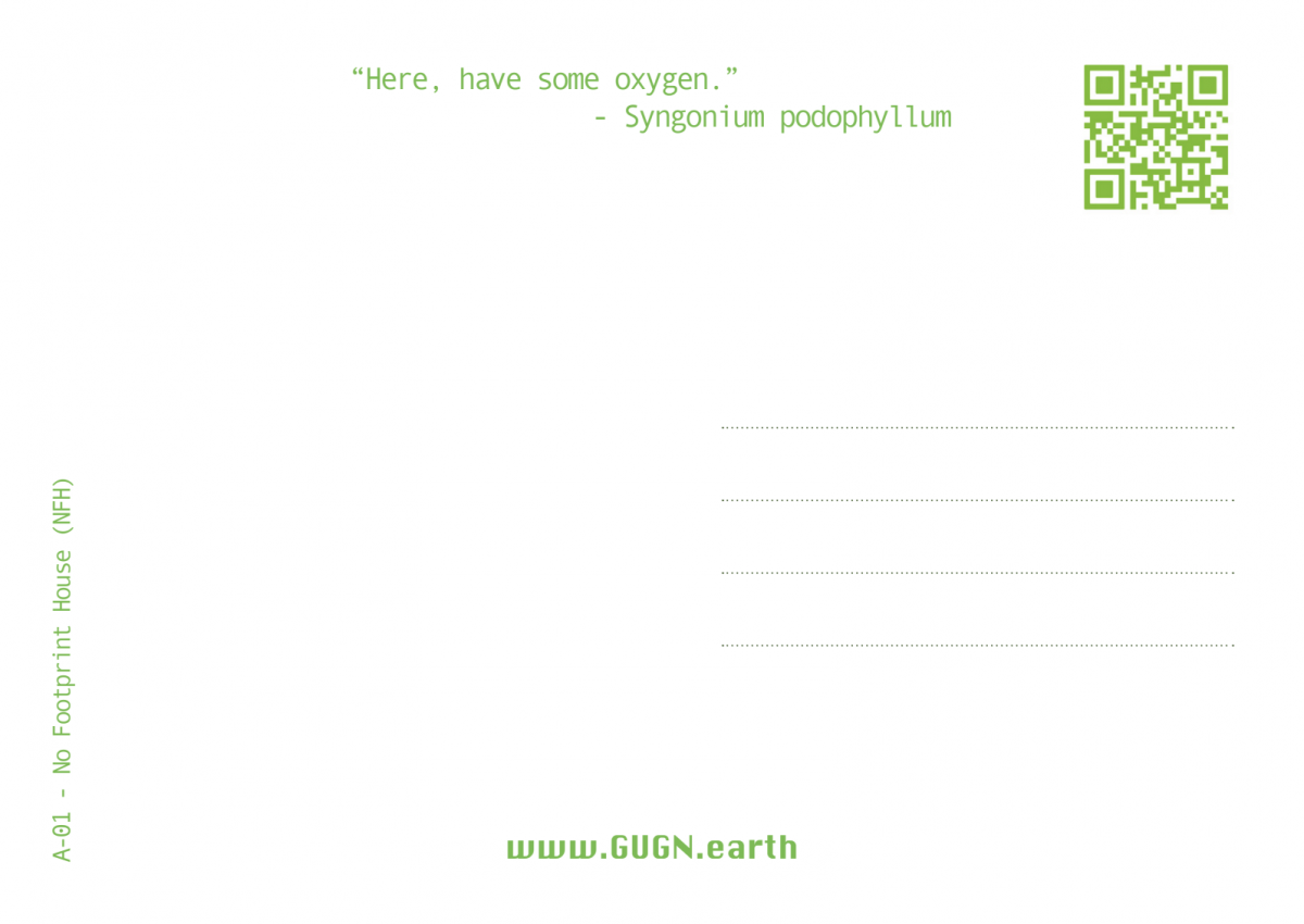 Global Urban Garden Network - image-6
