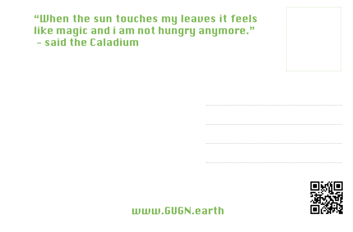 Global Urban Garden Network - image-4