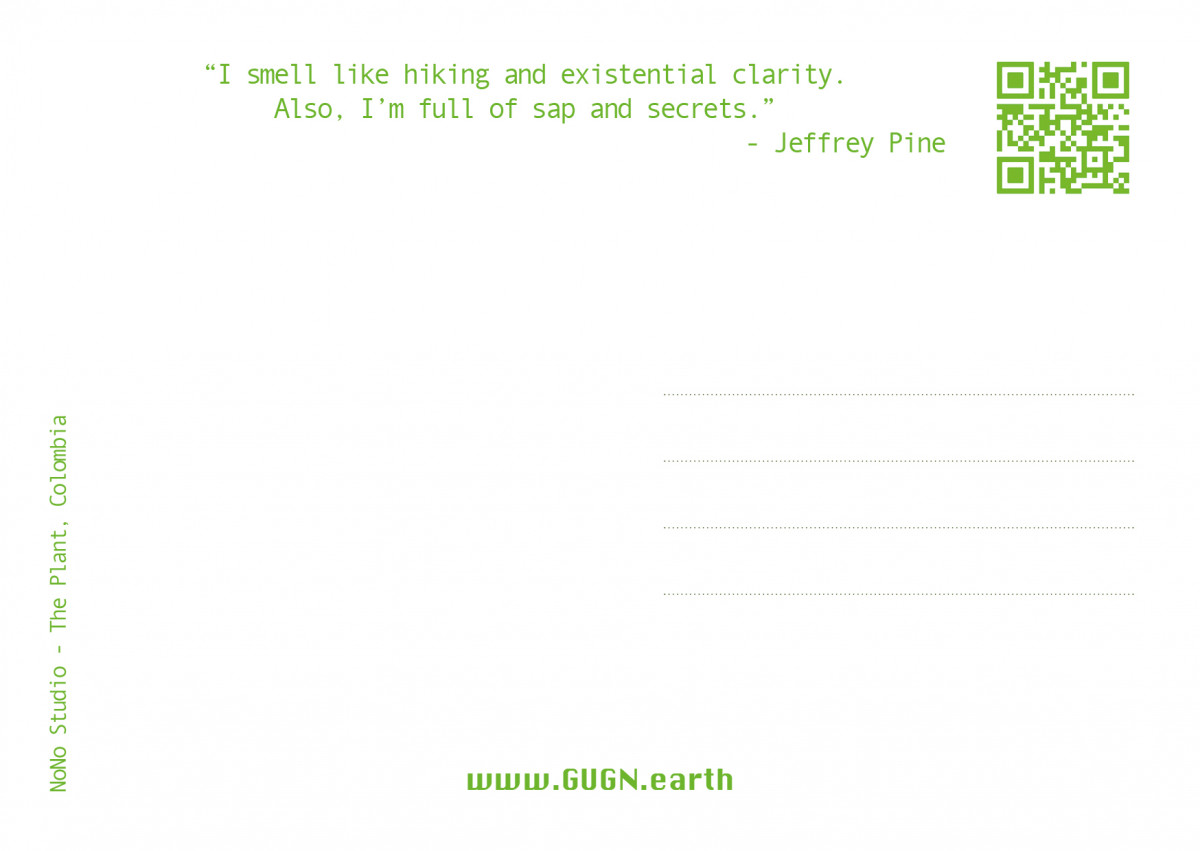 Global Urban Garden Network - image-10