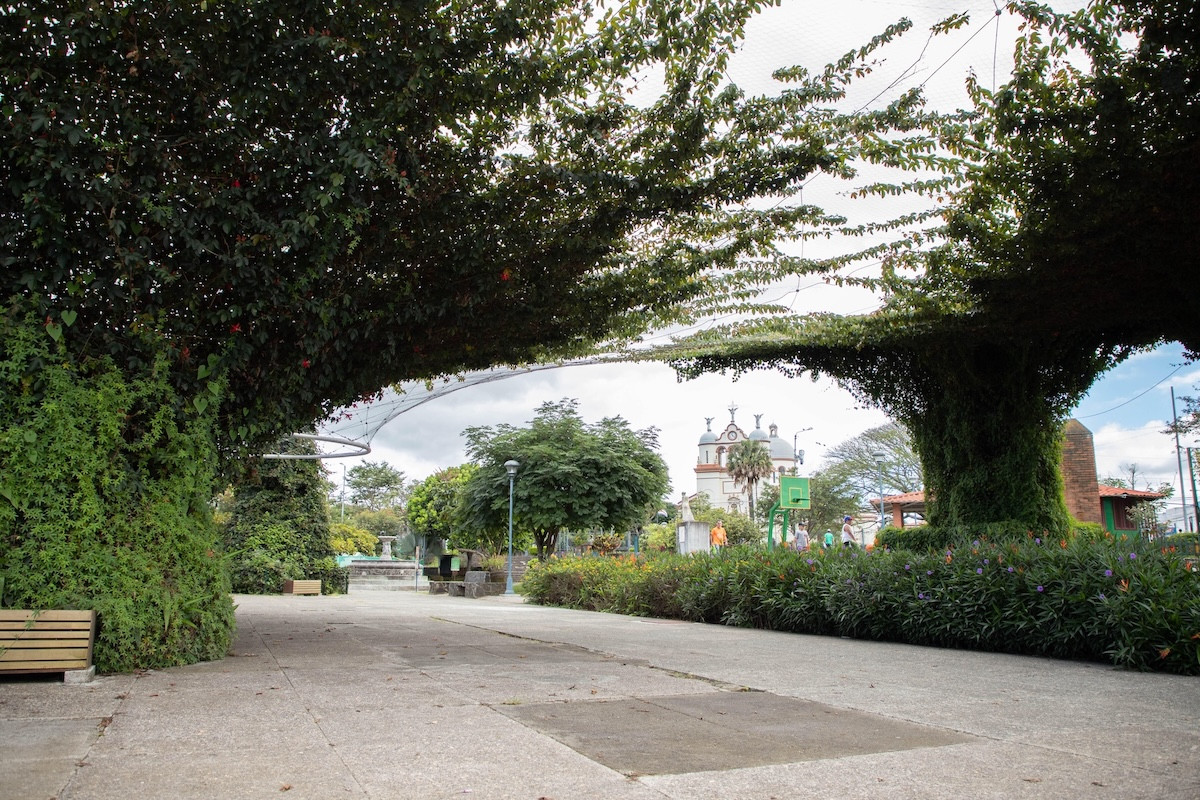 Global Urban Garden Network - image-8