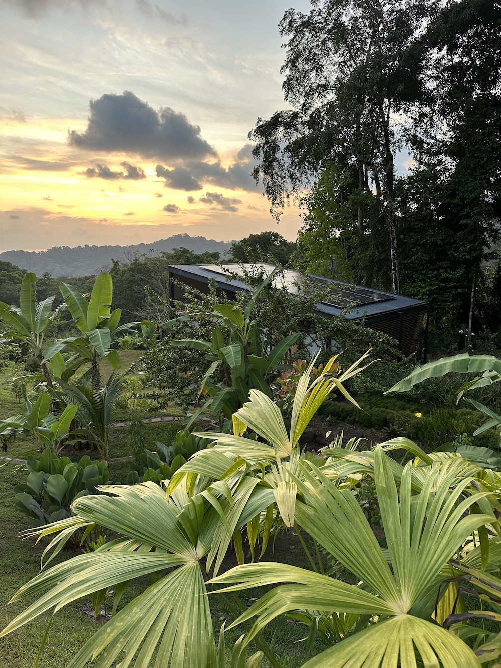 Global Urban Garden Network - image-9