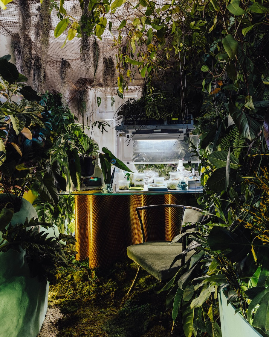 Global Urban Garden Network - image-5