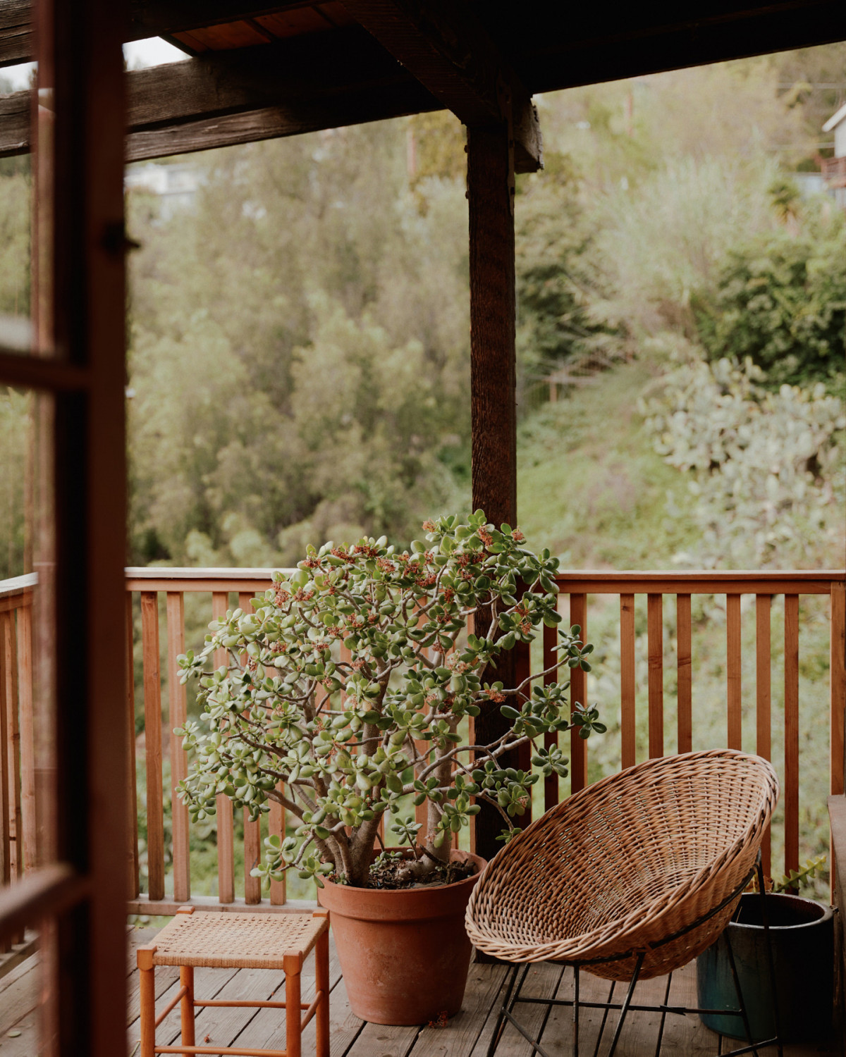 Moon Canyon - image-13